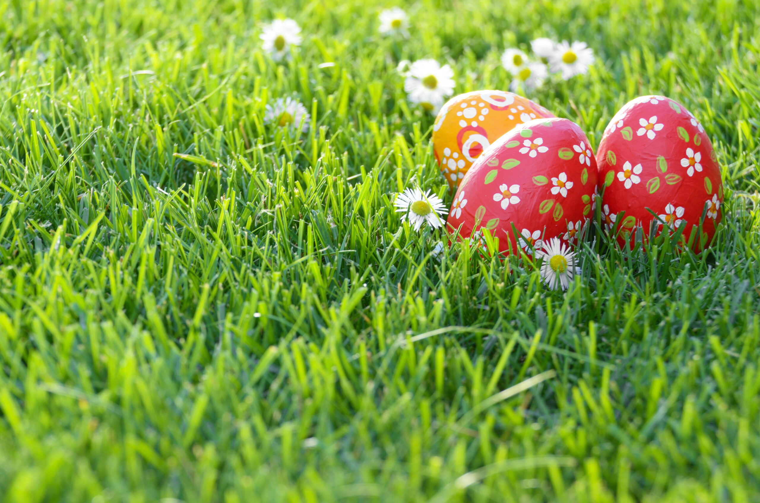 Frühlingshafte Osterdekoration an der Pension Ilmhof in Bad Berka, 99438 Weimarer Land, umgeben von blühender Landschaft.